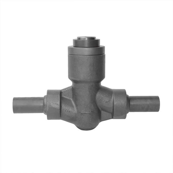 Forged Self-sealing Lift Check Valve With Nipple Both End