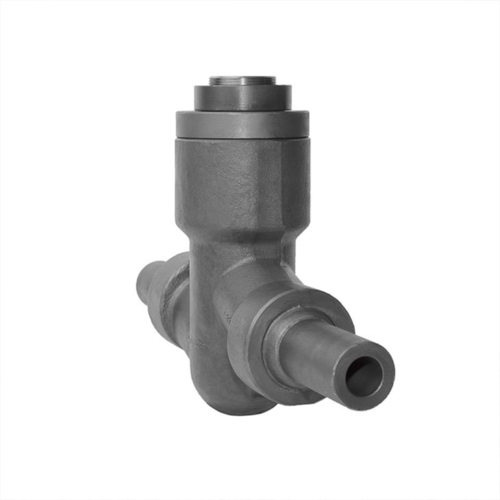 Forged Self-sealing Lift Check Valve With Nipple Both End