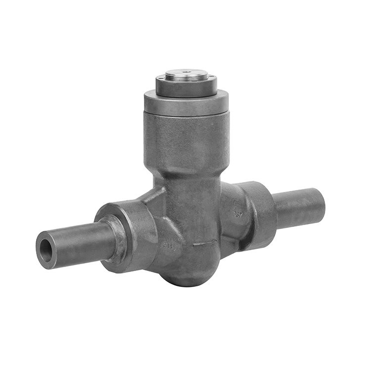 Forged Self-sealing Lift Check Valve With Nipple Both End