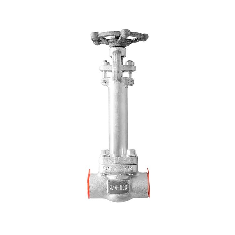 Forged Stainless Steel Extended Bonnet Gate Valve