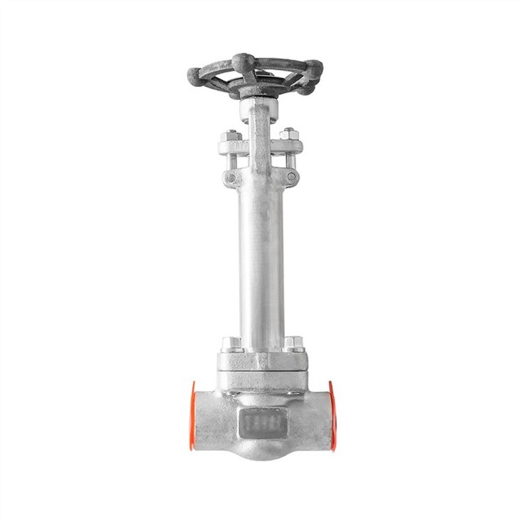 Forged Stainless Steel Extended Bonnet Gate Valve