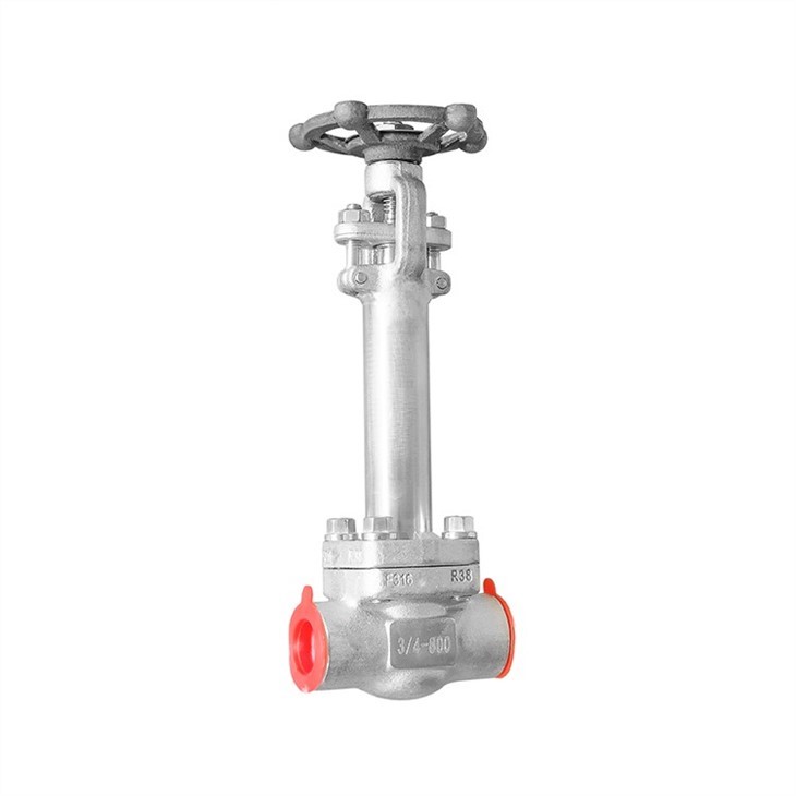 Forged Stainless Steel Extended Bonnet Gate Valve