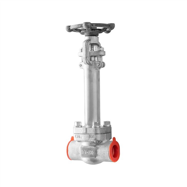 Forged Stainless Steel Extended Bonnet Gate Valve