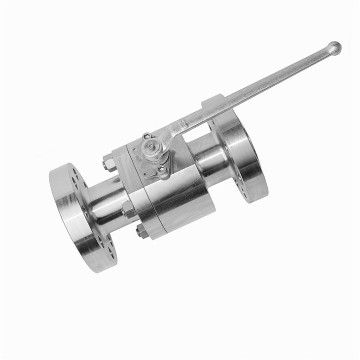 Forged Stainless Steel Flange Ball Valve