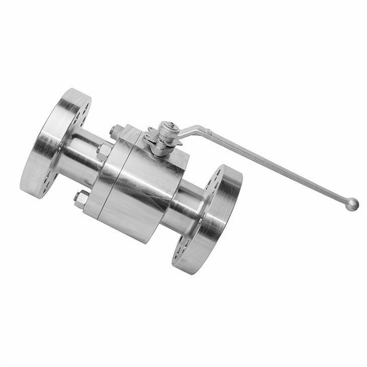 Forged Stainless Steel Flange Ball Valve