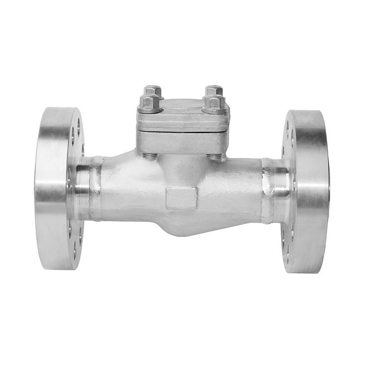 Forged Stainless Steel Weld Flanged Check Valve