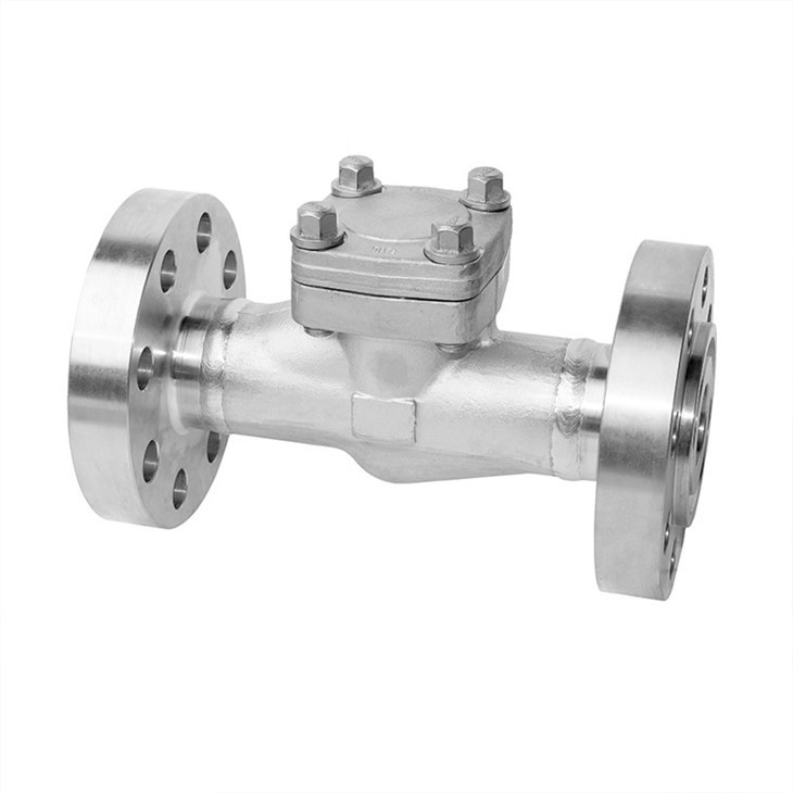 Forged Stainless Steel Weld Flanged Check Valve