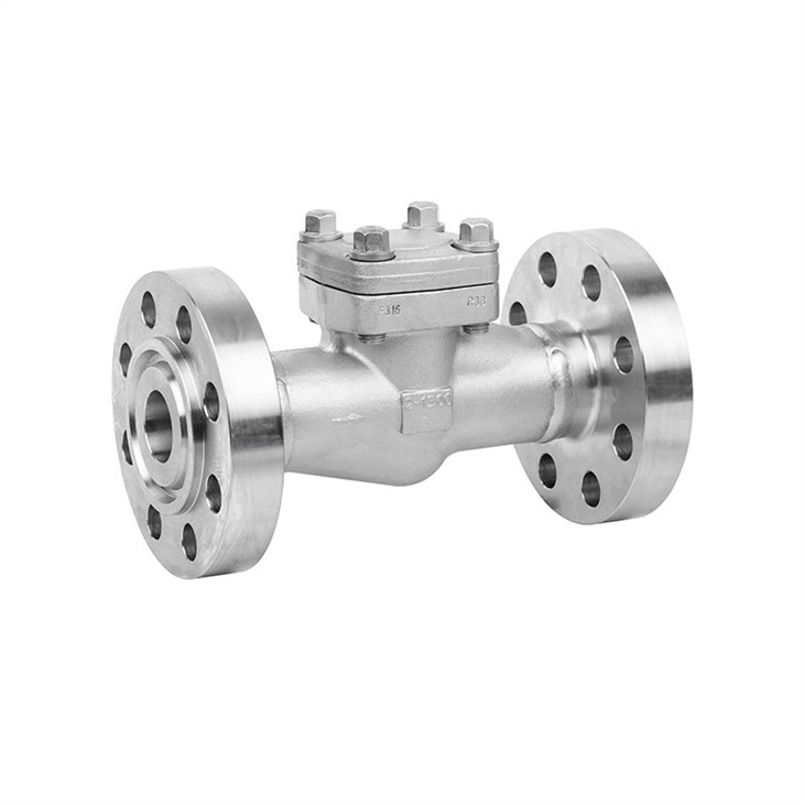 Forged Stainless Steel Weld Flanged Check Valve