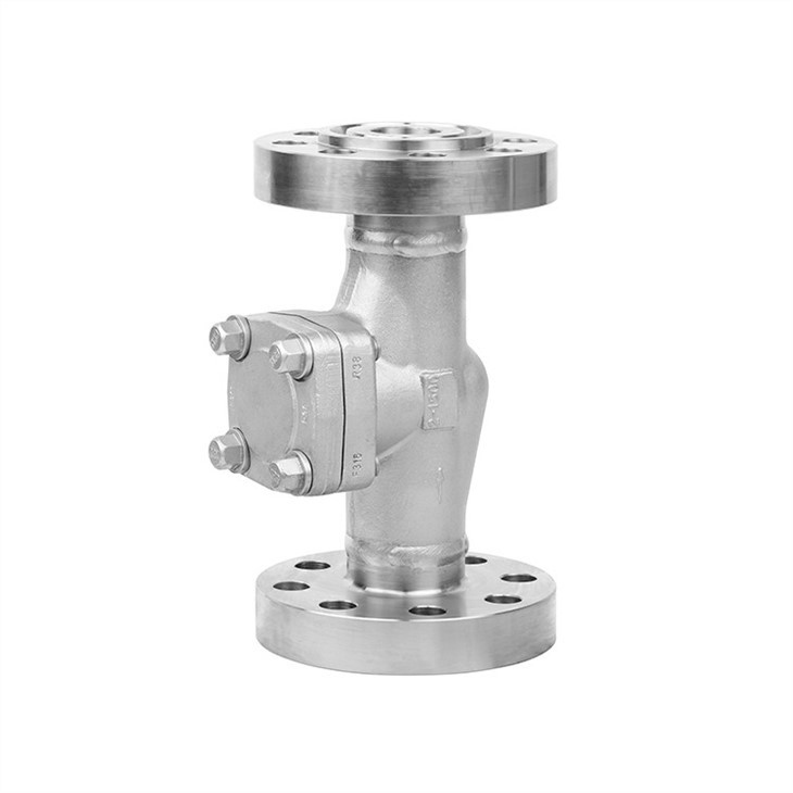 Forged Stainless Steel Weld Flanged Check Valve
