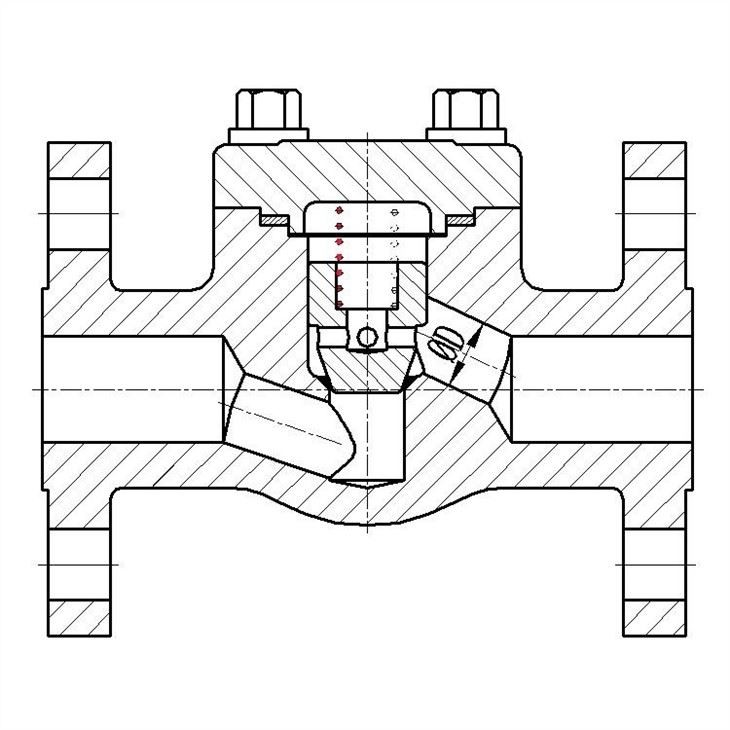 Forged Stainless Steel Weld Flanged Check Valve