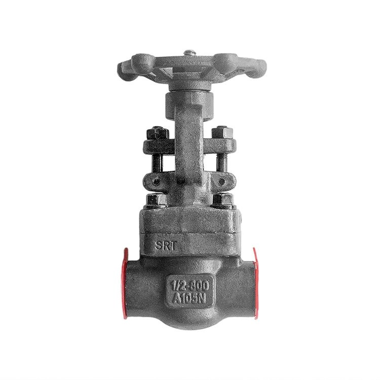 Forged Steel A105 Gate Valve SW Class 800