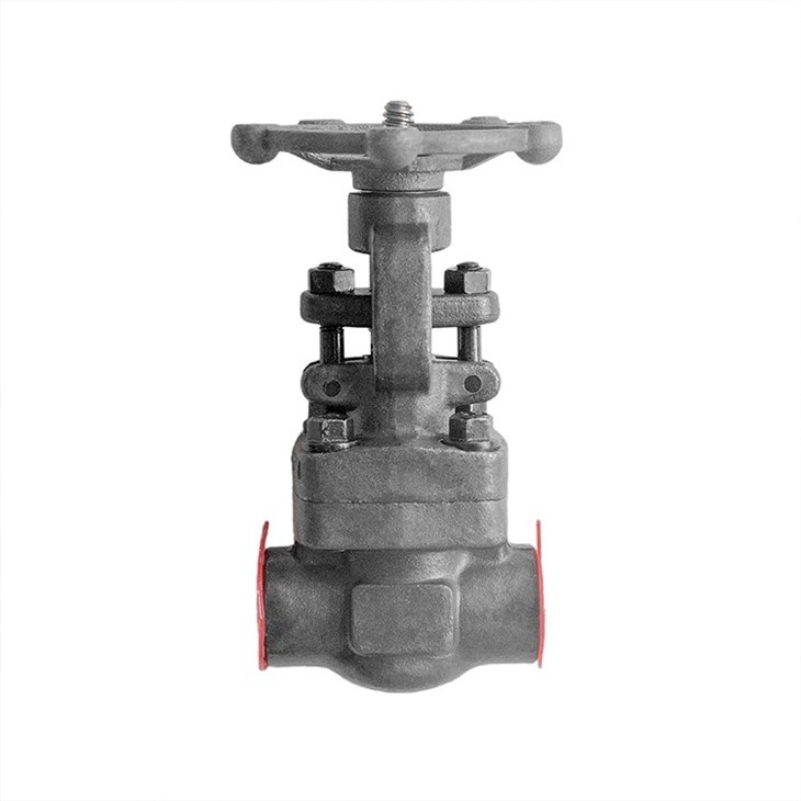Forged Steel A105 Gate Valve SW Class 800