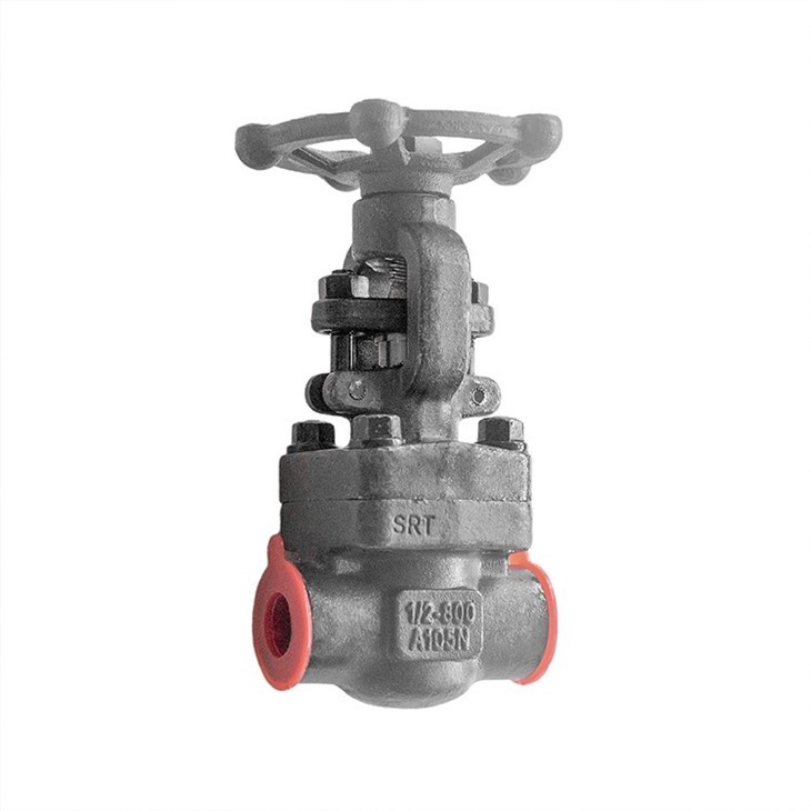 Forged Steel A105 Gate Valve SW Class 800