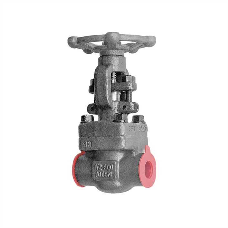 Forged Steel A105 Gate Valve SW Class 800