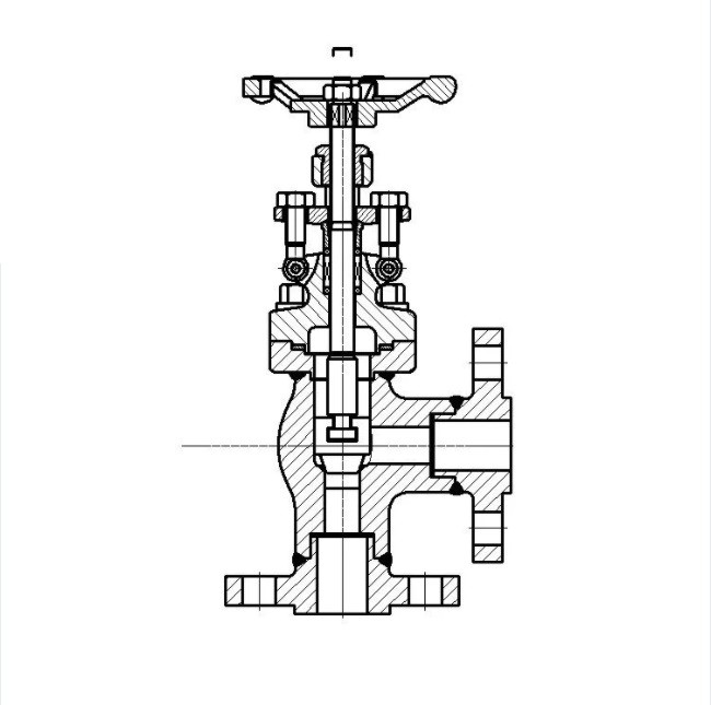 Forged Steel Angle Globe Valve Flanged End