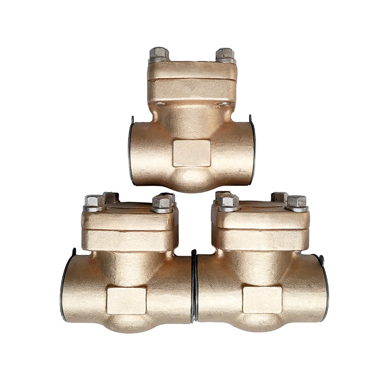 Forged Steel Bronze Check Valve