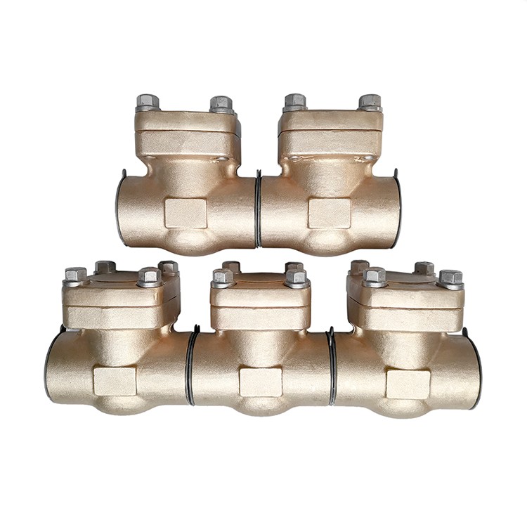 Forged Steel Bronze Check Valve