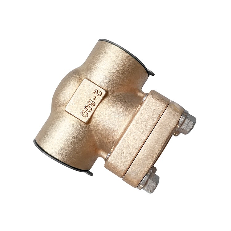 Forged Steel Bronze Check Valve