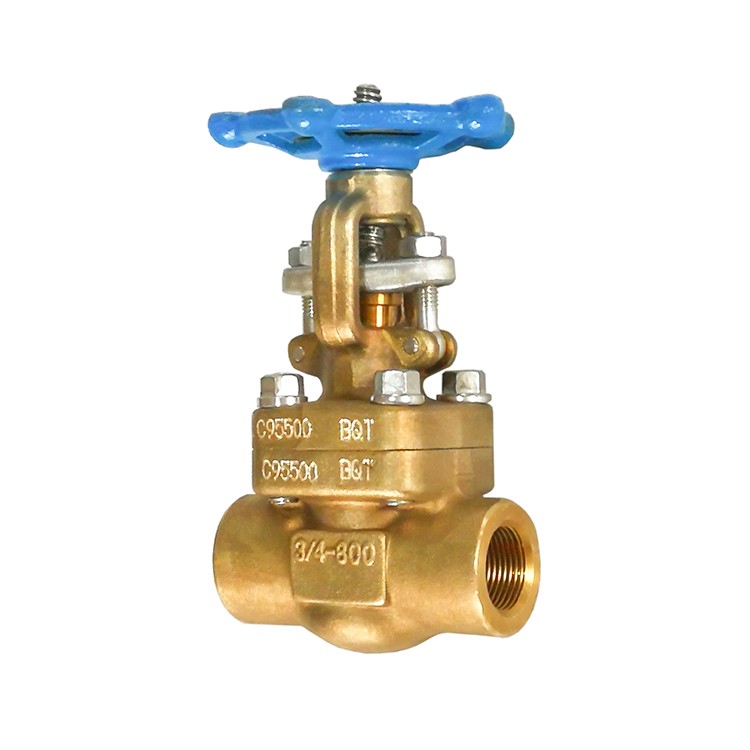 Forged Steel Bronze Gate Valve SW Class 800