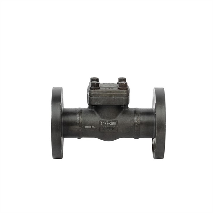 Forged Steel Check Valve