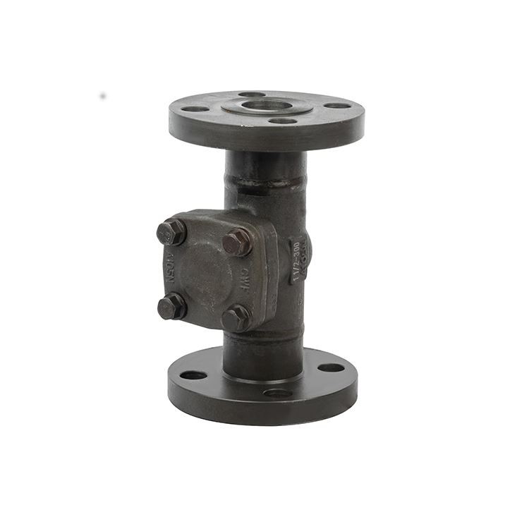 Forged Steel Check Valve