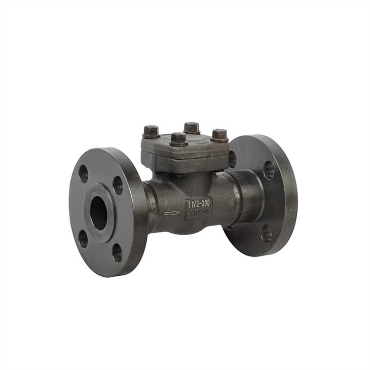 Forged Steel Check Valve