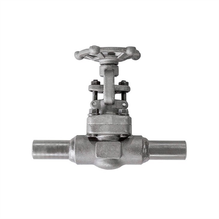 Forged Steel Gate Valve with extended Tube