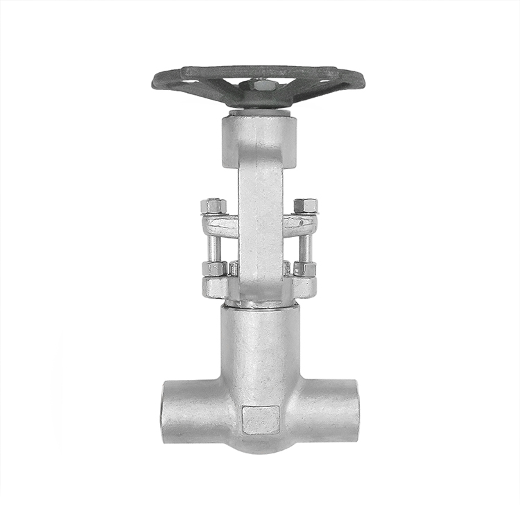 Forged Steel Pressure Seal Gate Valve Class 2500