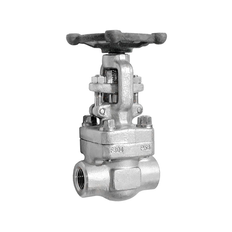 Forged Steel SS304 Gate Valve NPT Class 300