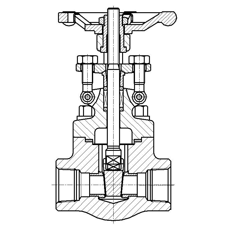 Forged Steel SS304 Gate Valve NPT Class 300