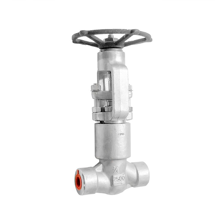 Forged Steel Self Sealing Globe Valve BW