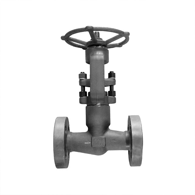 Forged Steel Self Sealing Globe Valve RF