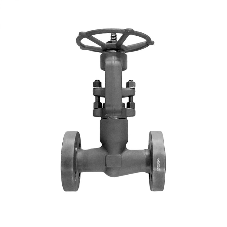 Forged Steel Self Sealing Globe Valve RF