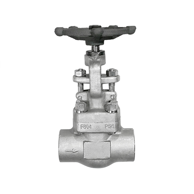 Forged Steel Stainless Steel Globe Valve SW