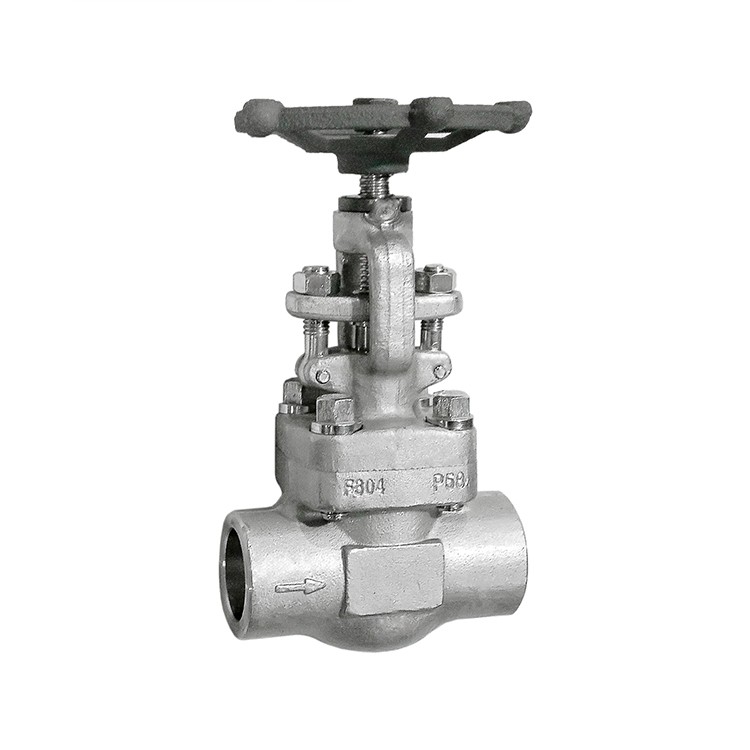 Forged Steel Stainless Steel Globe Valve SW