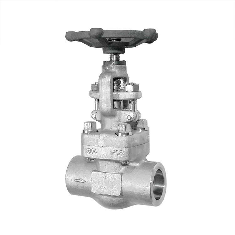 Forged Steel Stainless Steel Globe Valve SW