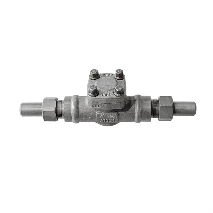 Forged Welded End Check Valve Flexible Connection 