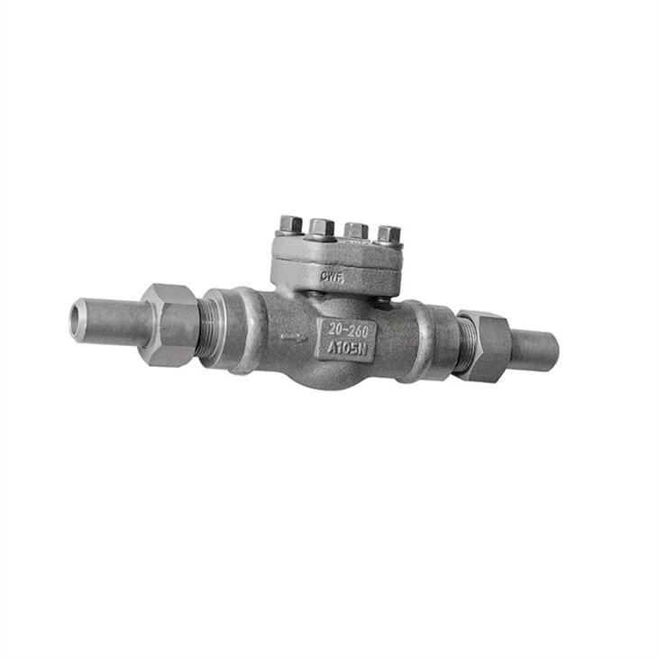 Forged Welded End Check Valve Flexible Connection 