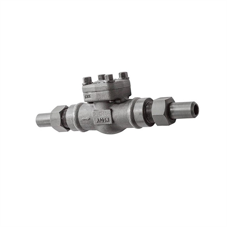 Forged Welded End Check Valve Flexible Connection 