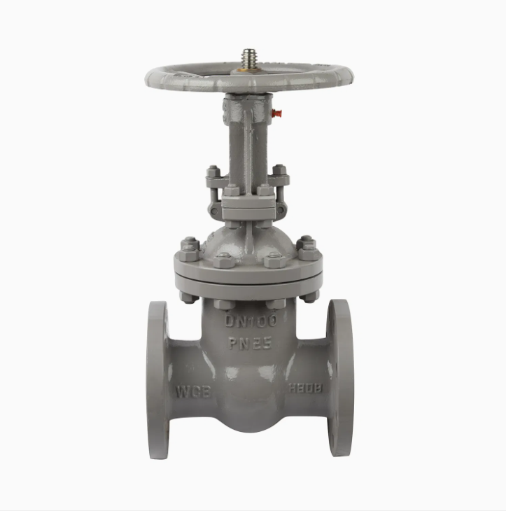 Gost Cast Steel Gate Valve