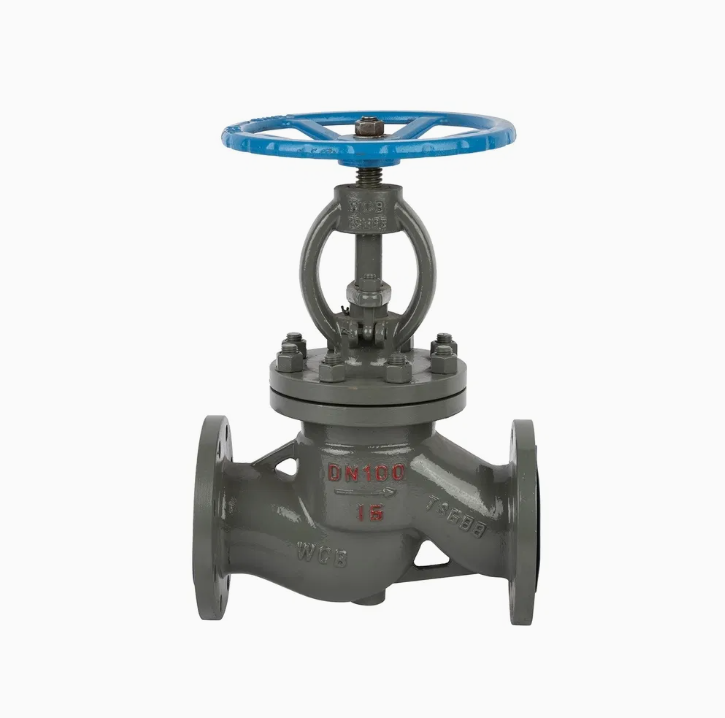 Gost WCB Globe Valve RF