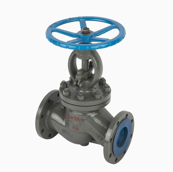 Gost WCB Globe Valve RF