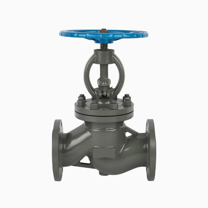 Gost WCB Globe Valve RF