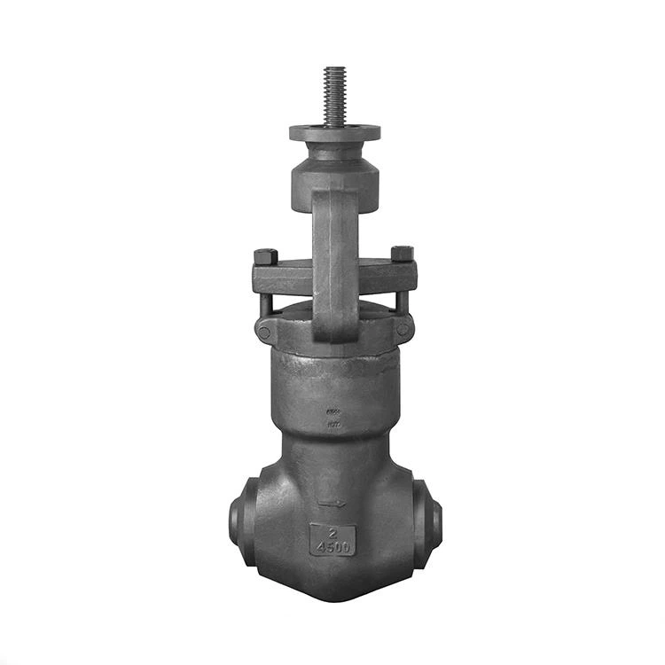 High Pressure Globe Valve