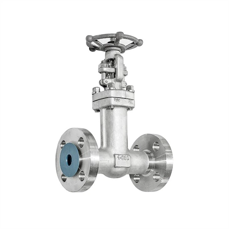 Integrally Flanged SS Bellows Globe Valve