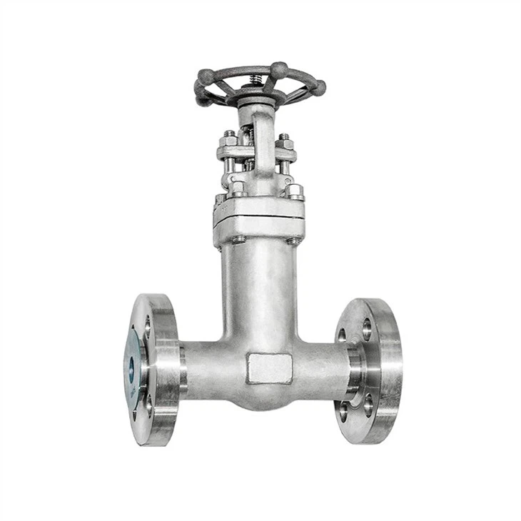 Integrally Flanged SS Bellows Globe Valve