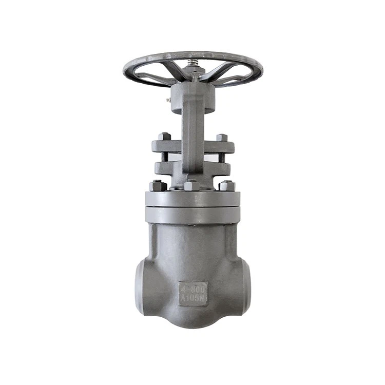 Large Diameter Forged Steel Gate Valve