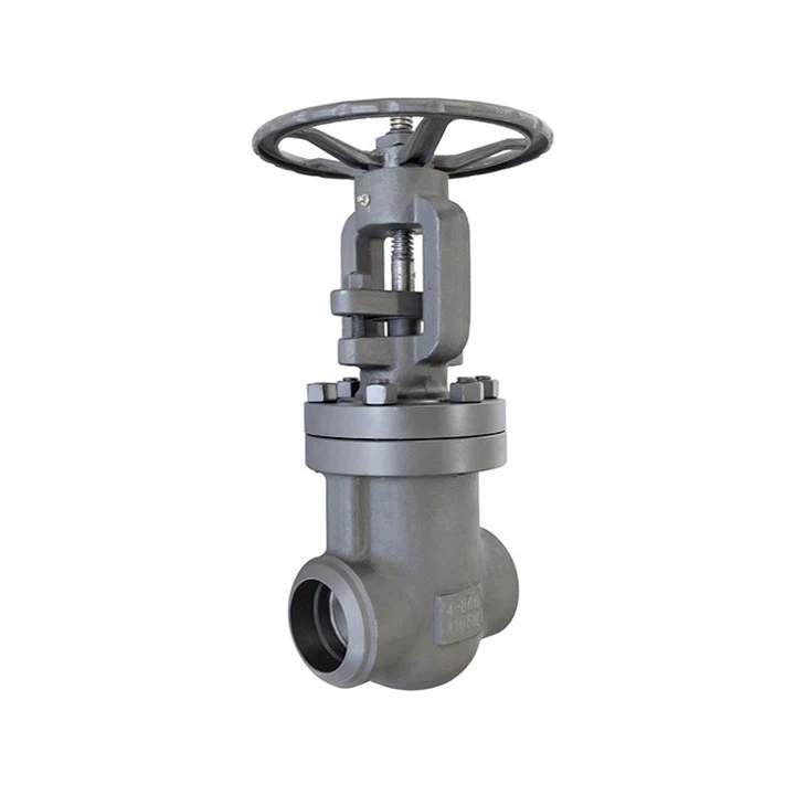 Large Diameter Forged Steel Gate Valve