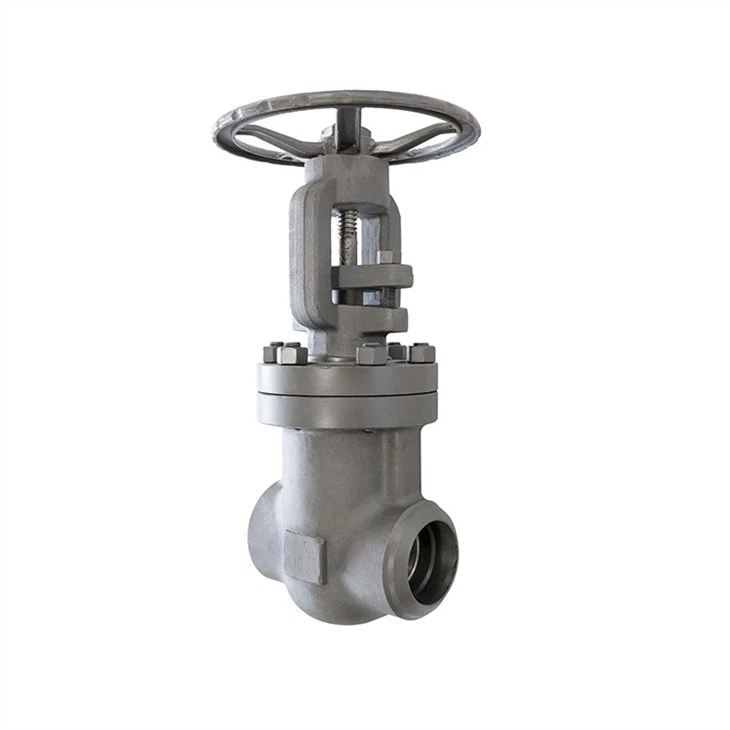 Large Diameter Forged Steel Gate Valve