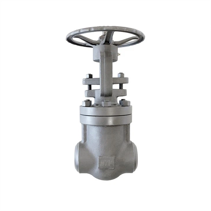 Large Diameter Forged Steel Gate Valve